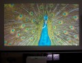  Smart U100W  1280x800 3600Lm 2HDMI